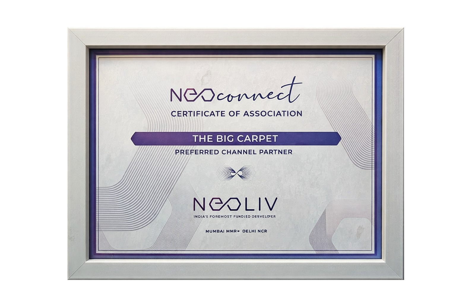 The Big Carpet The Big Carpet